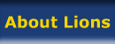 About Lions